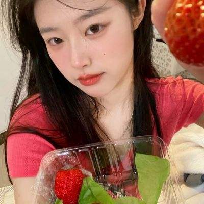 迷你方块手机版下载